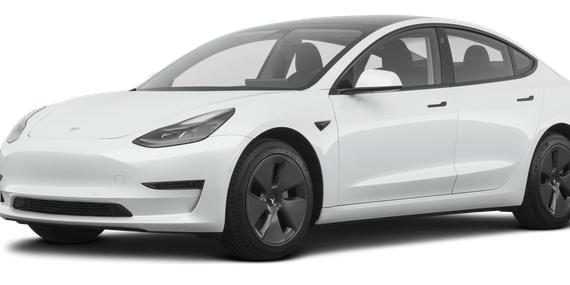 TESLA MODEL 3 2021 5YJ3E1EA5MF092283 image